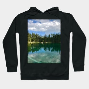 Trees and Reflection in Lake Hoodie